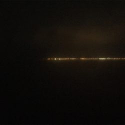 刺身を食べさせてあげたくて