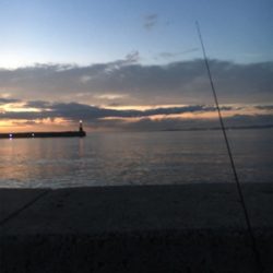 釣れて良かった。