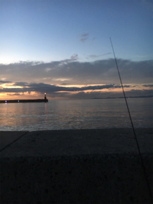 釣れて良かった。