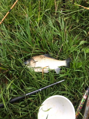 また落合公園にて