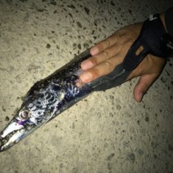 お手軽3種目成功！