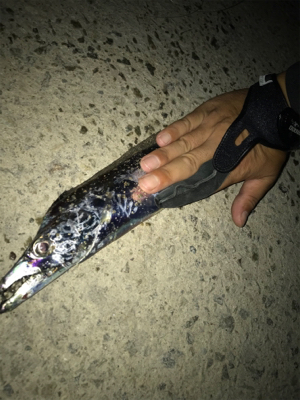 お手軽3種目成功！