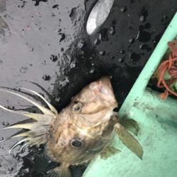 ジギングロッドを忘れて