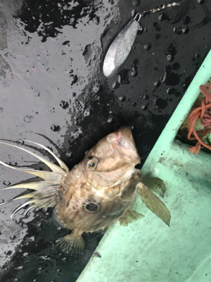 ジギングロッドを忘れて