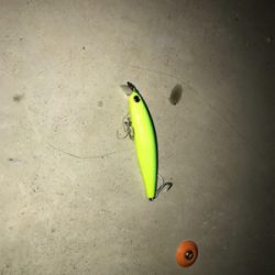 こんな日もある