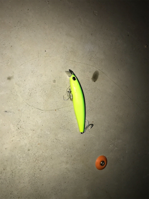 こんな日もある