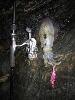 今年初エギング