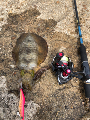 しまなみエギング ドリフト練習