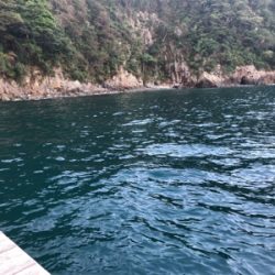 初筏でイカ狙い