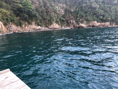 初筏でイカ狙い