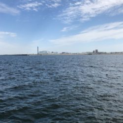 チャリコ入れ食いだ！