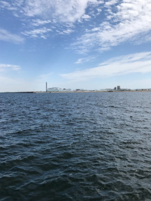 チャリコ入れ食いだ！