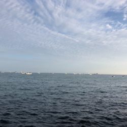 チャンスをいかせた一投(^^)！