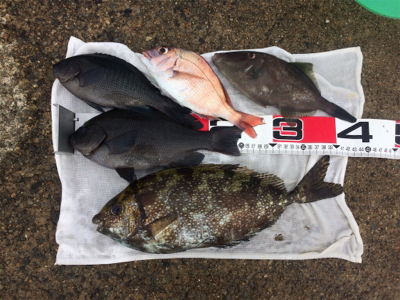 フカセ練@垂水一文字