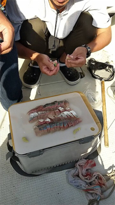 仙台湾大根付近 プライベートボート