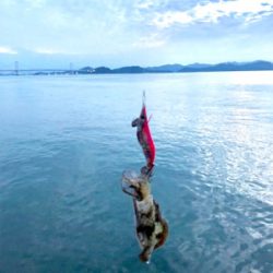 連休嫁さんとうず潮クルーズ