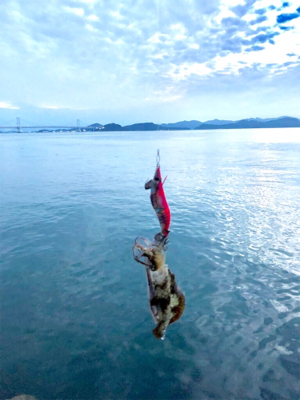 連休嫁さんとうず潮クルーズ