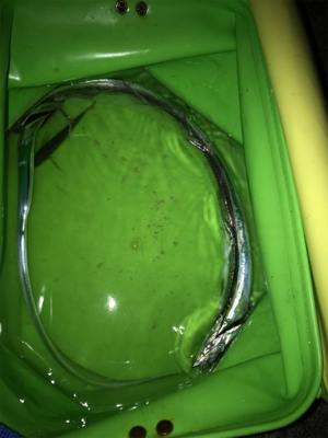 今年は太刀魚の当り年❗&#x…