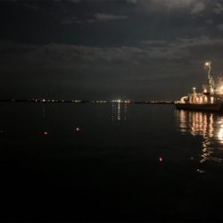 小松島でタチウオ