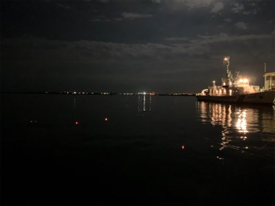 小松島でタチウオ