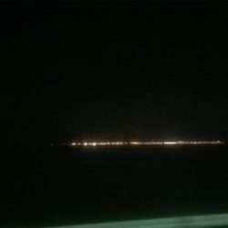 もっと刺身を食べさせてあげたくて