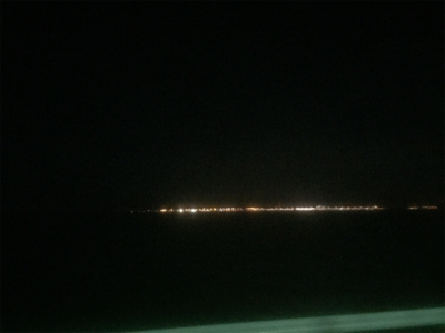 もっと刺身を食べさせてあげたくて