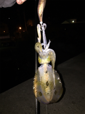 リベンジならず