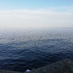 タチウオ狙いでしたが…