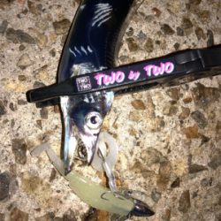 今年初のエギング&ワインド