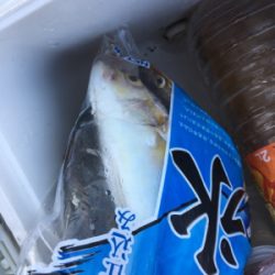 遠征したのに、、、