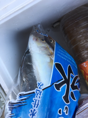 遠征したのに、、、