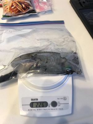 連休中日、渋かった