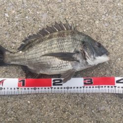 朝寝坊してよかった？