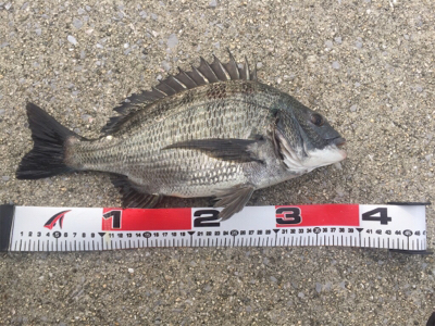 朝寝坊してよかった？