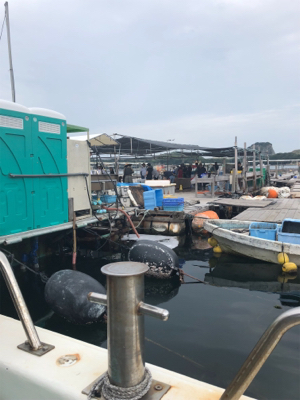 釣り堀かいえい