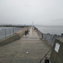 小雨の中の釣行