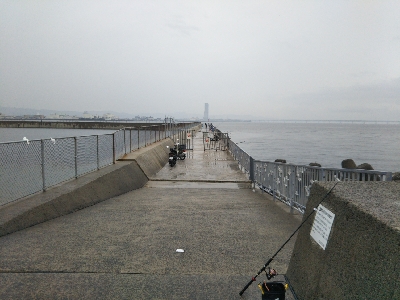 小雨の中の釣行