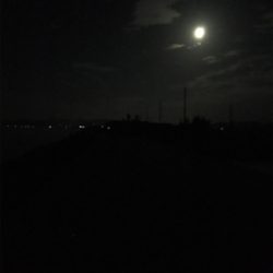 太刀魚はつれるが青物は釣れず