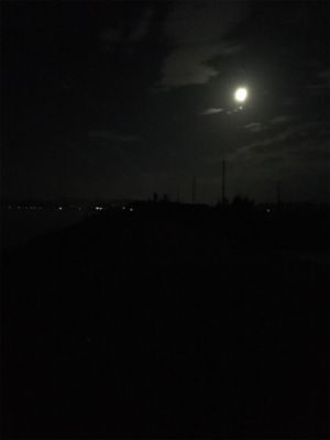 太刀魚はつれるが青物は釣れず