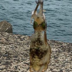 結果オーライ!楽しい現調となりました