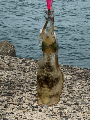 結果オーライ!楽しい現調となりました