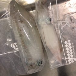 今日も仕事帰り!