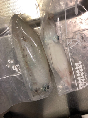 今日も仕事帰り!