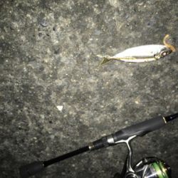 ライトアジング