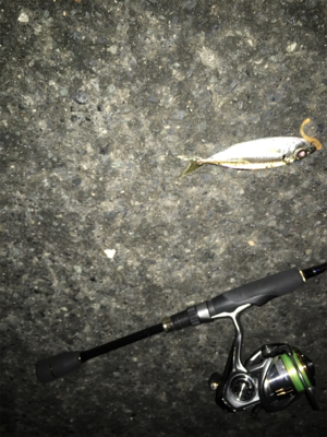 ライトアジング