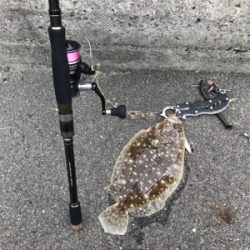 ショアジギングにてまさかの平らいやつ