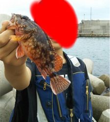 穴釣り&五目釣り