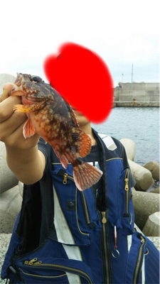 穴釣り&五目釣り