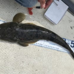 浜名湖ボート爆釣！！