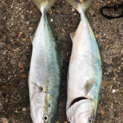 ３戦３勝やけど……